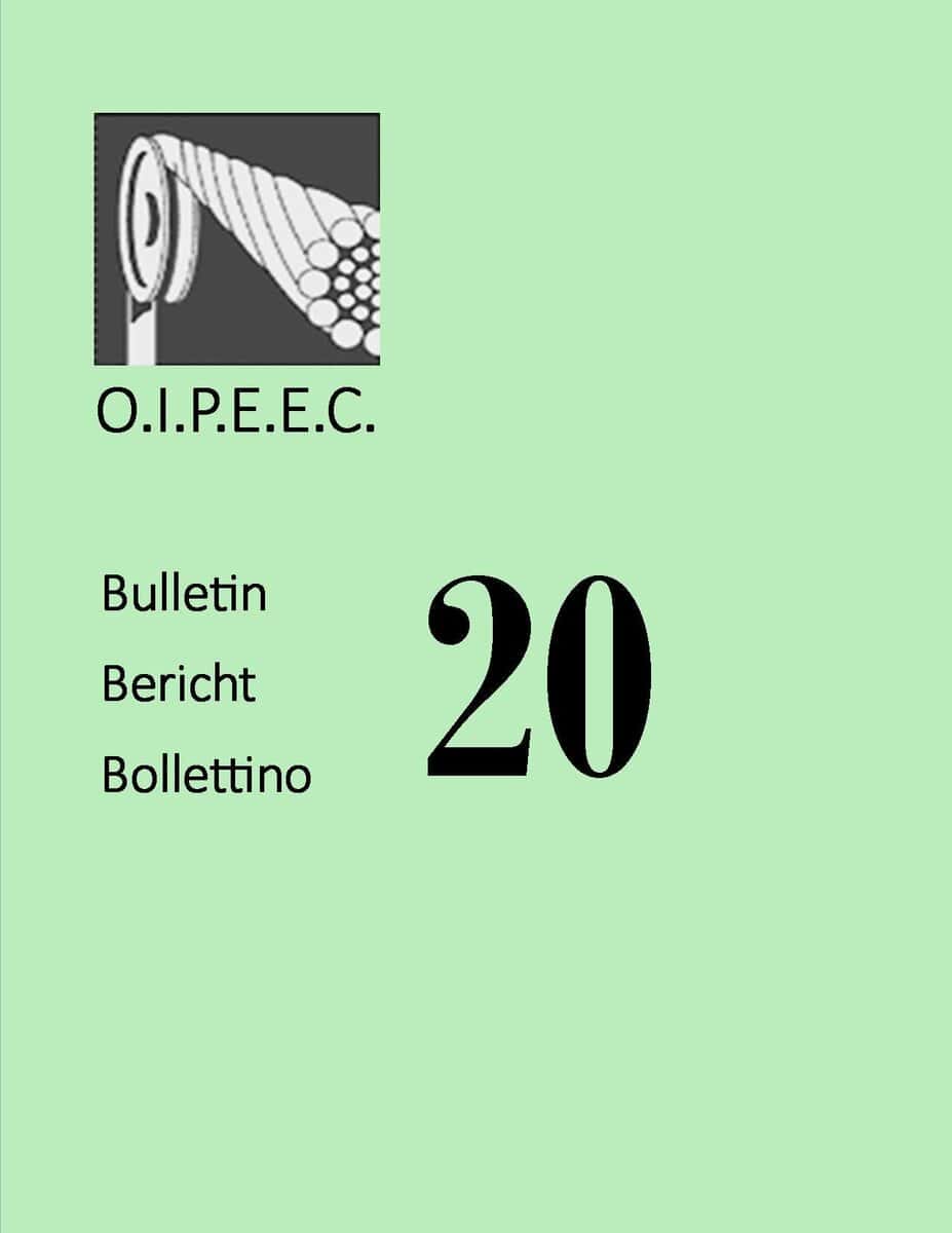 Educational Publication Cover Featuring Oipeec Bulletin 20, With Multilingual Titles, Emphasizing International Energy Efficiency Reports And Resources.