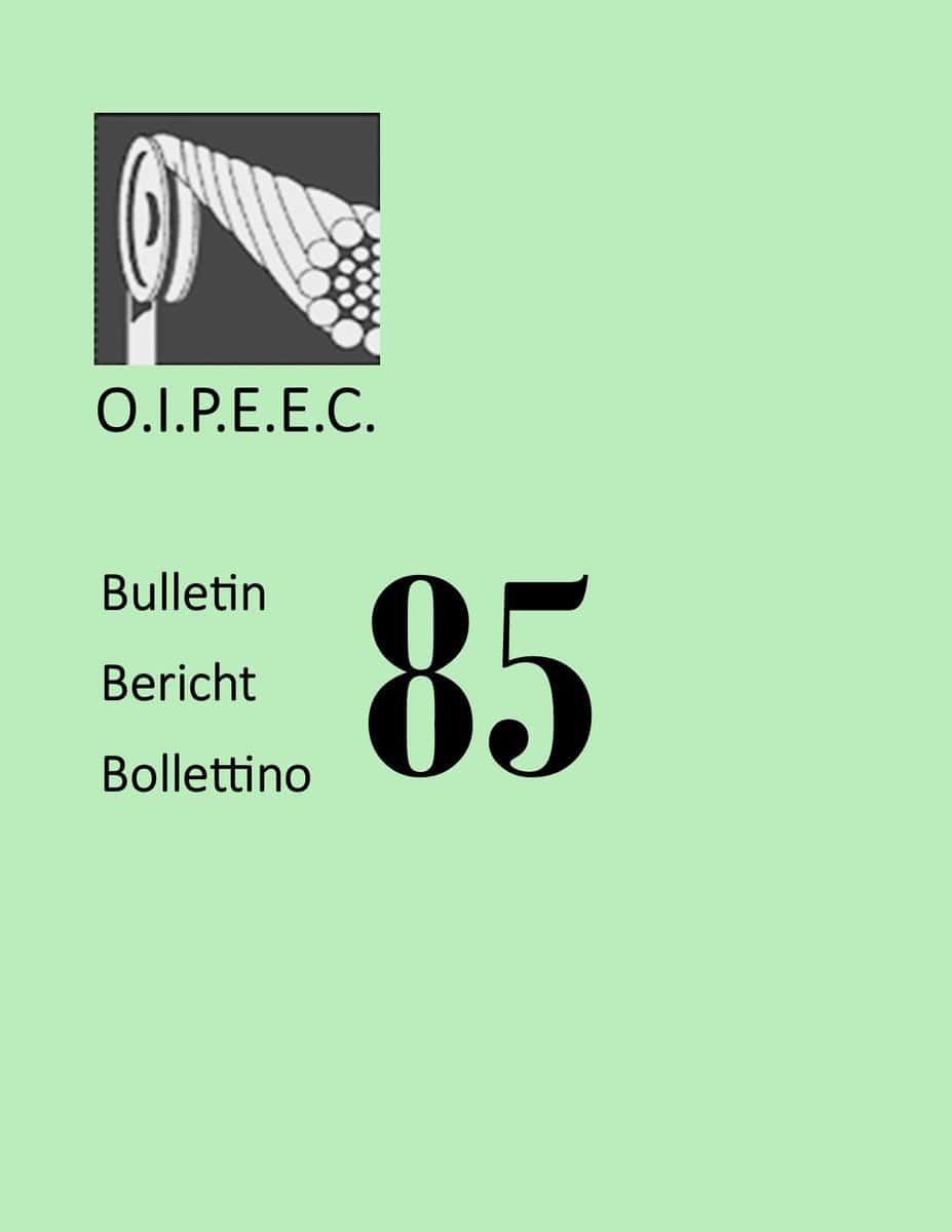 Cover Of Oipeec Bulletin 85, Educational Publication, International Professional Organization, With Bookshelf Logo And Multiple Languages, Focusing On Global Energy And Education Topics.